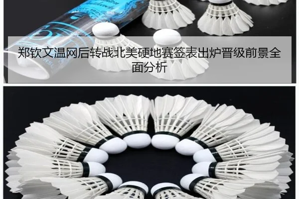郑钦文温网后转战北美硬地赛签表出炉晋级前景全面分析